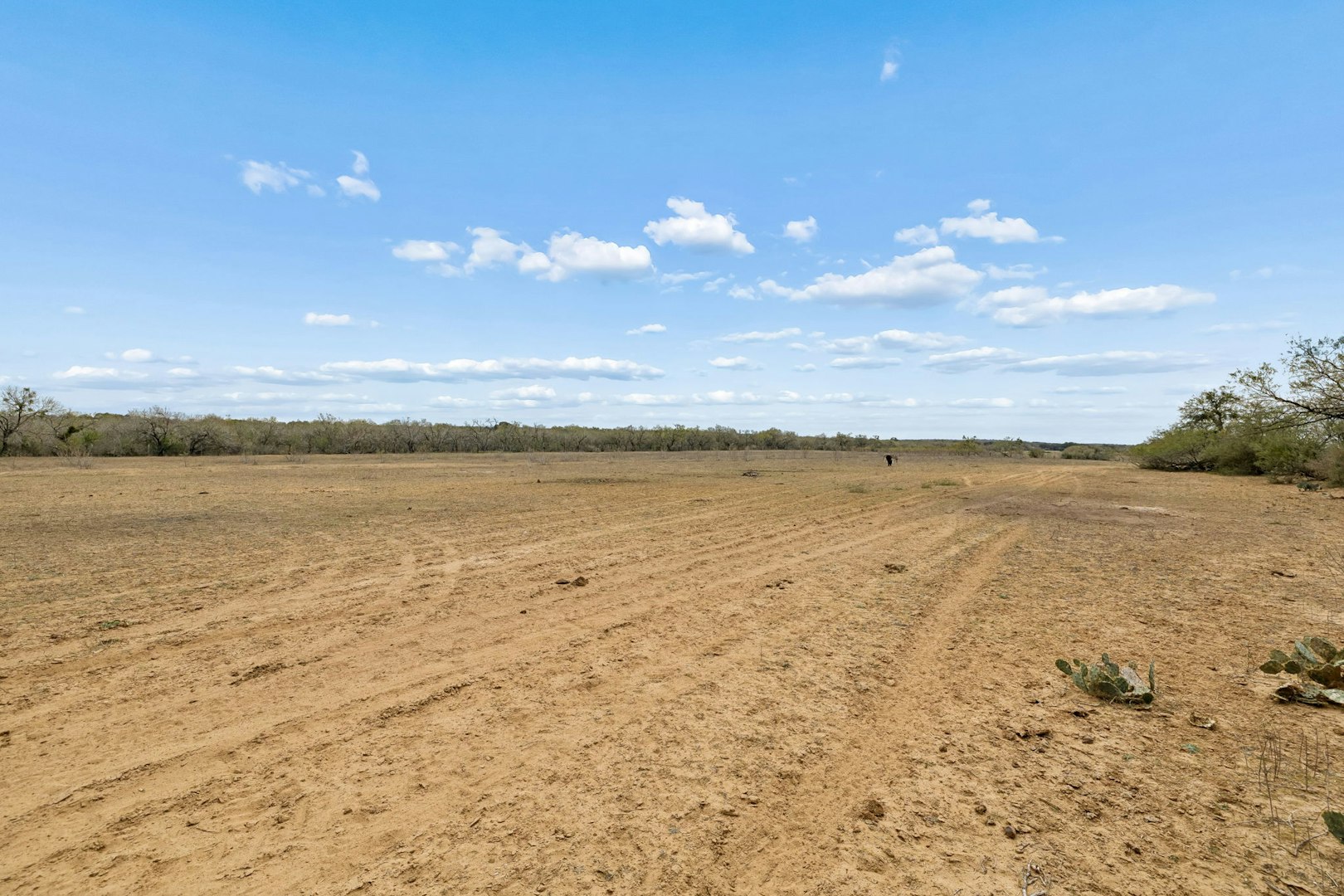 3496 South Loop 1604 East San Antonio TX 78264