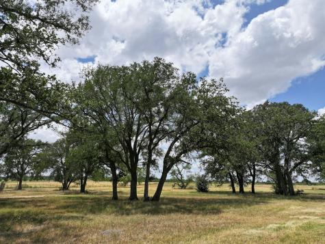 497 Luckenbach Road Fredericksburg TX 78624