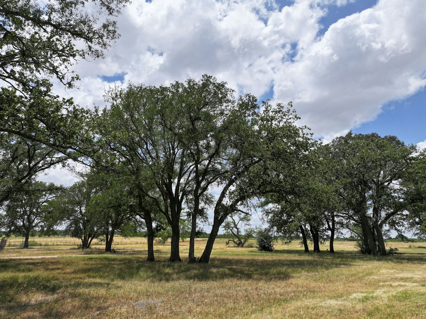 497 Luckenbach Road Fredericksburg TX 78624
