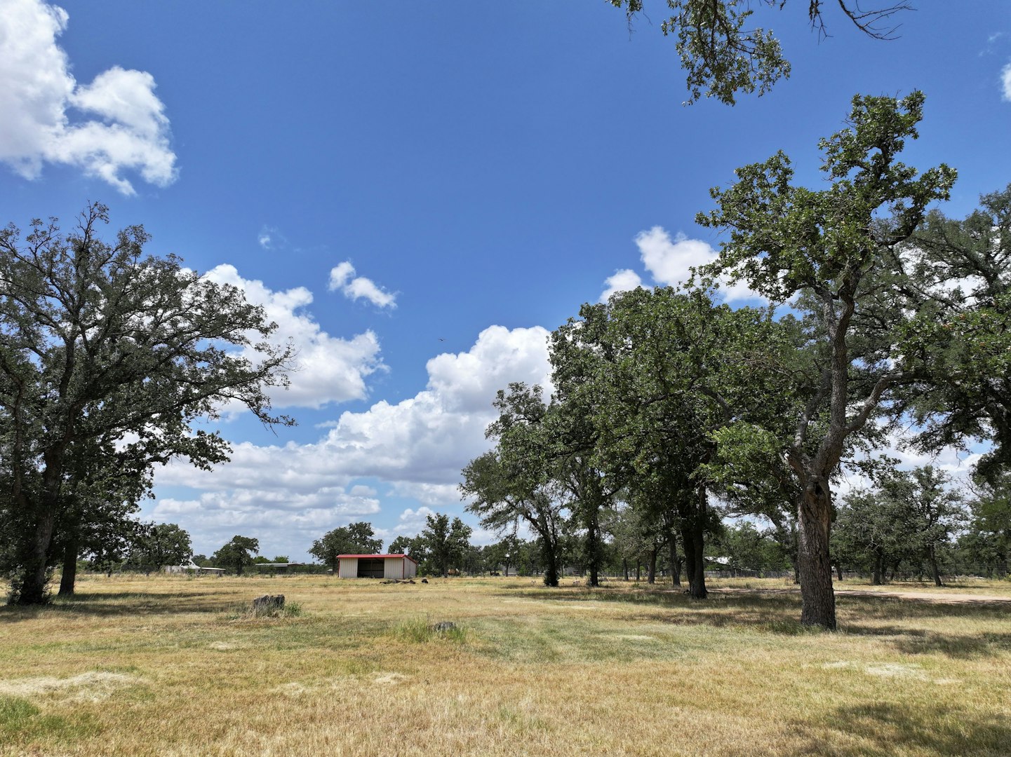 497 Luckenbach Road Fredericksburg TX 78624