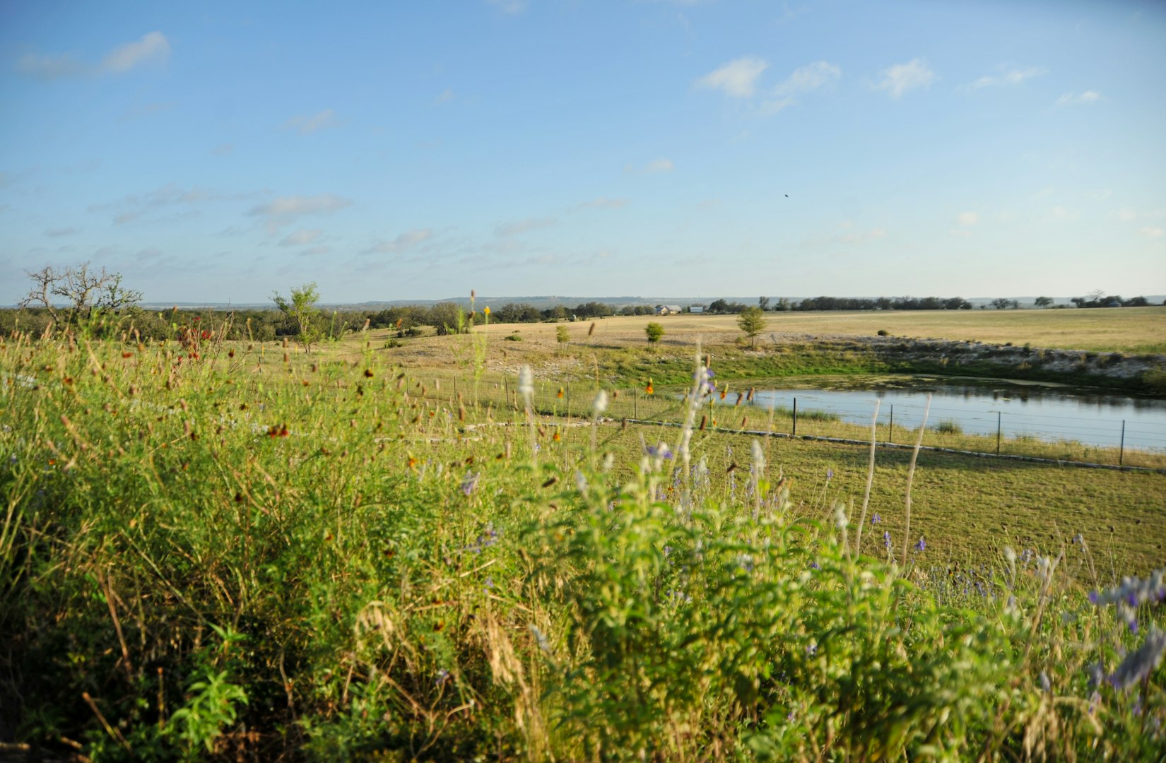 1213 Kott Road Fredericksburg TX 78624