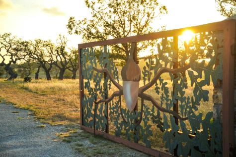 1213 Kott Road Fredericksburg TX 78624