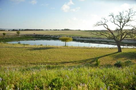 1213 Kott Road Fredericksburg TX 78624