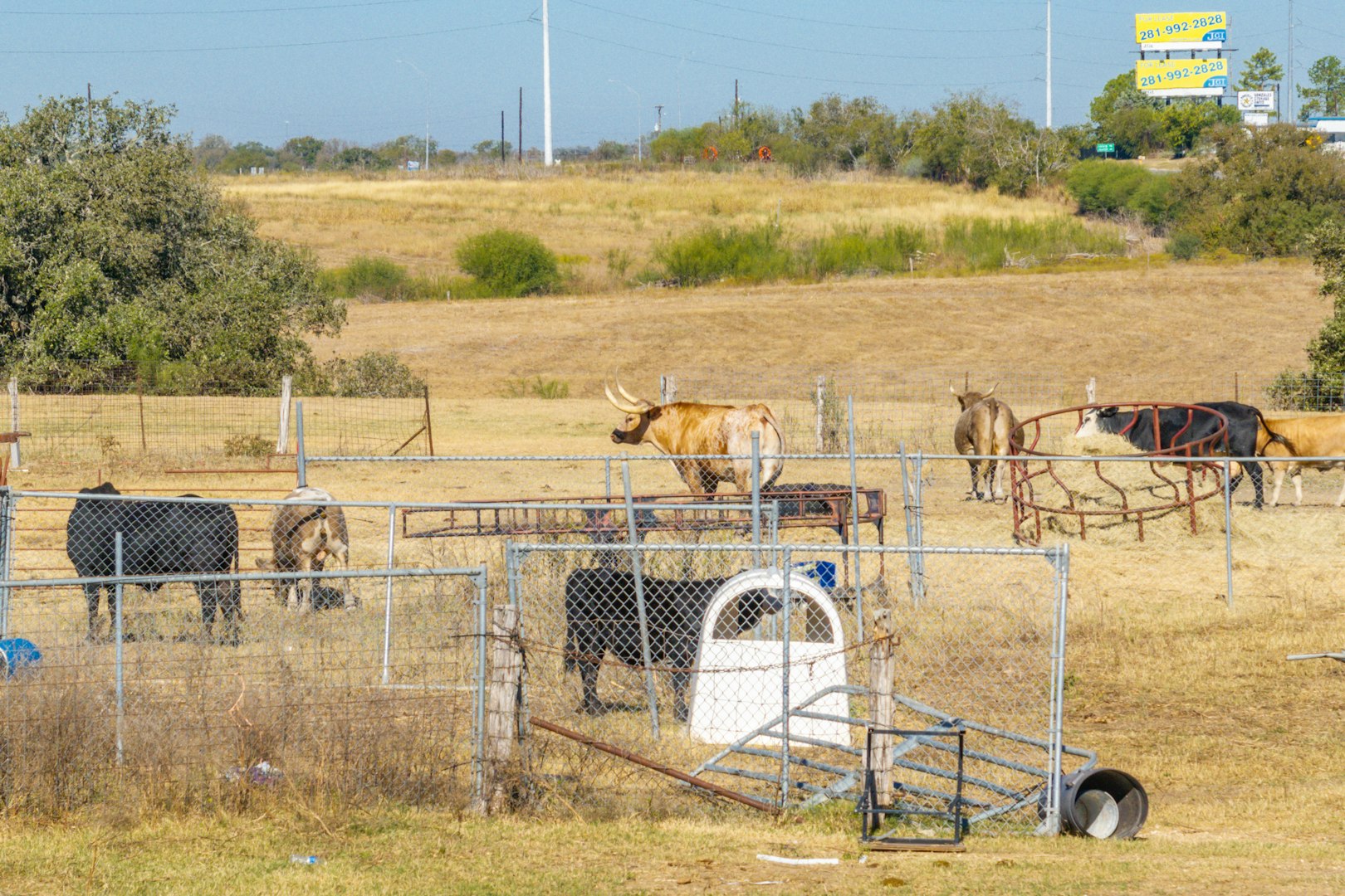 2127 North Saint Joseph Street Gonzales TX 78629