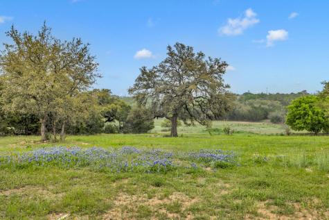 123 Rocky Road Hye TX 78635
