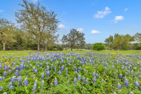 123 Rocky Road Hye TX 78635