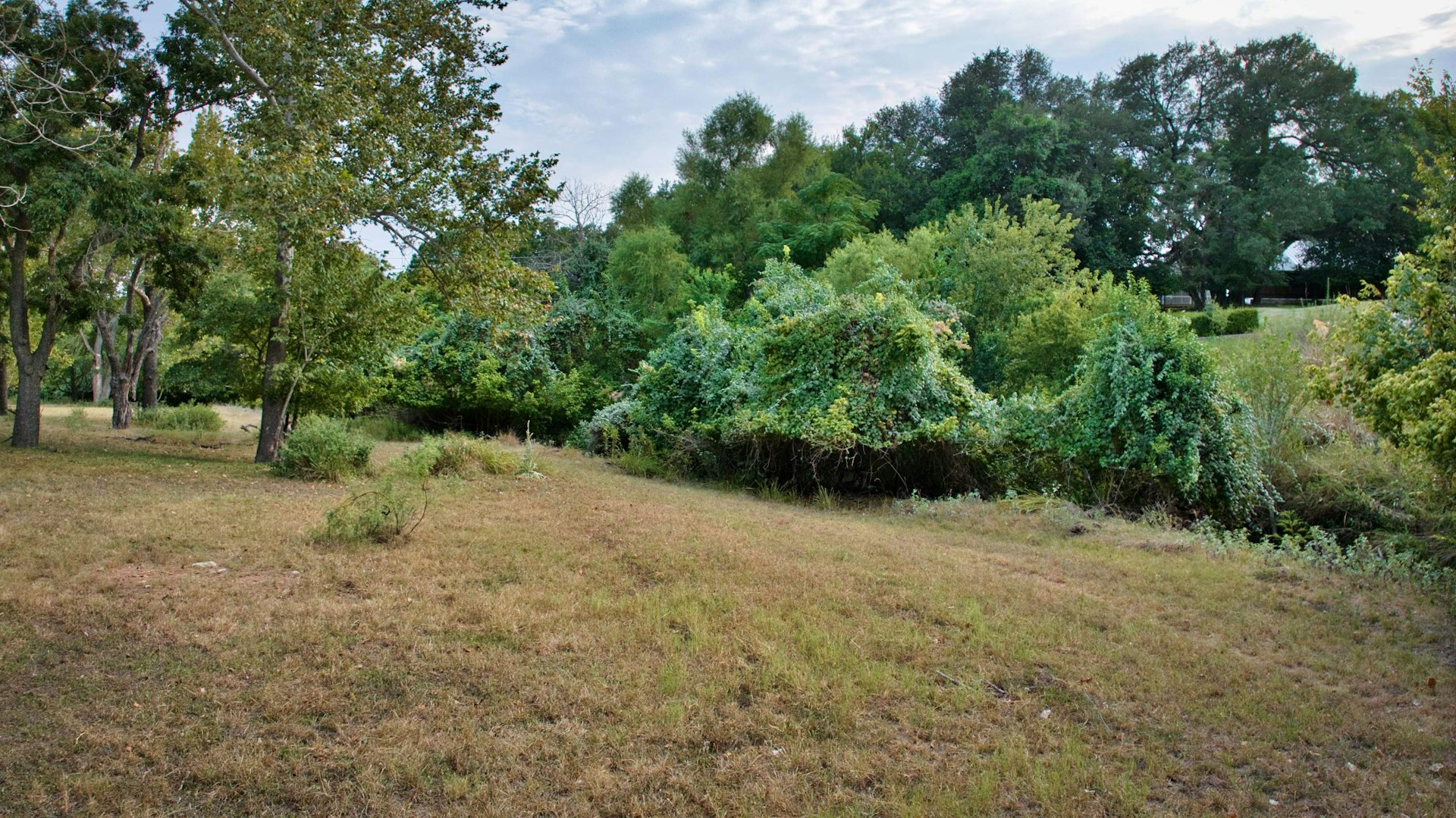 401 Auguste Street Fredericksburg TX 78624