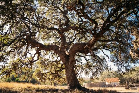 0000 Toutant-beauregard San Antonio TX 78255
