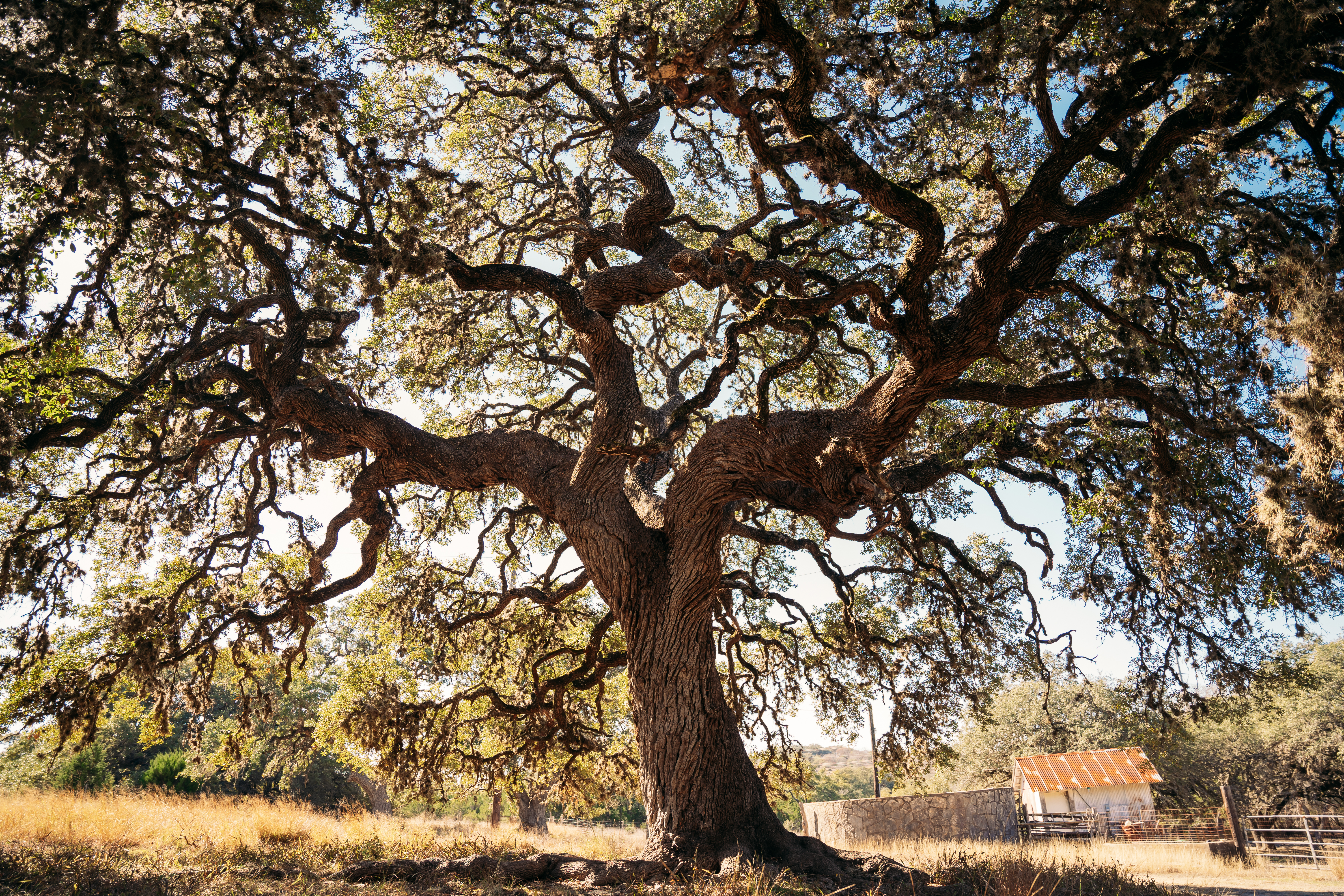 San Antonio TX, 0000 Toutant-beauregard