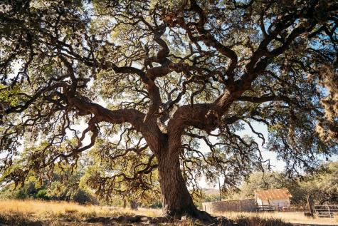 0000 Toutant-beauregard San Antonio TX 78255