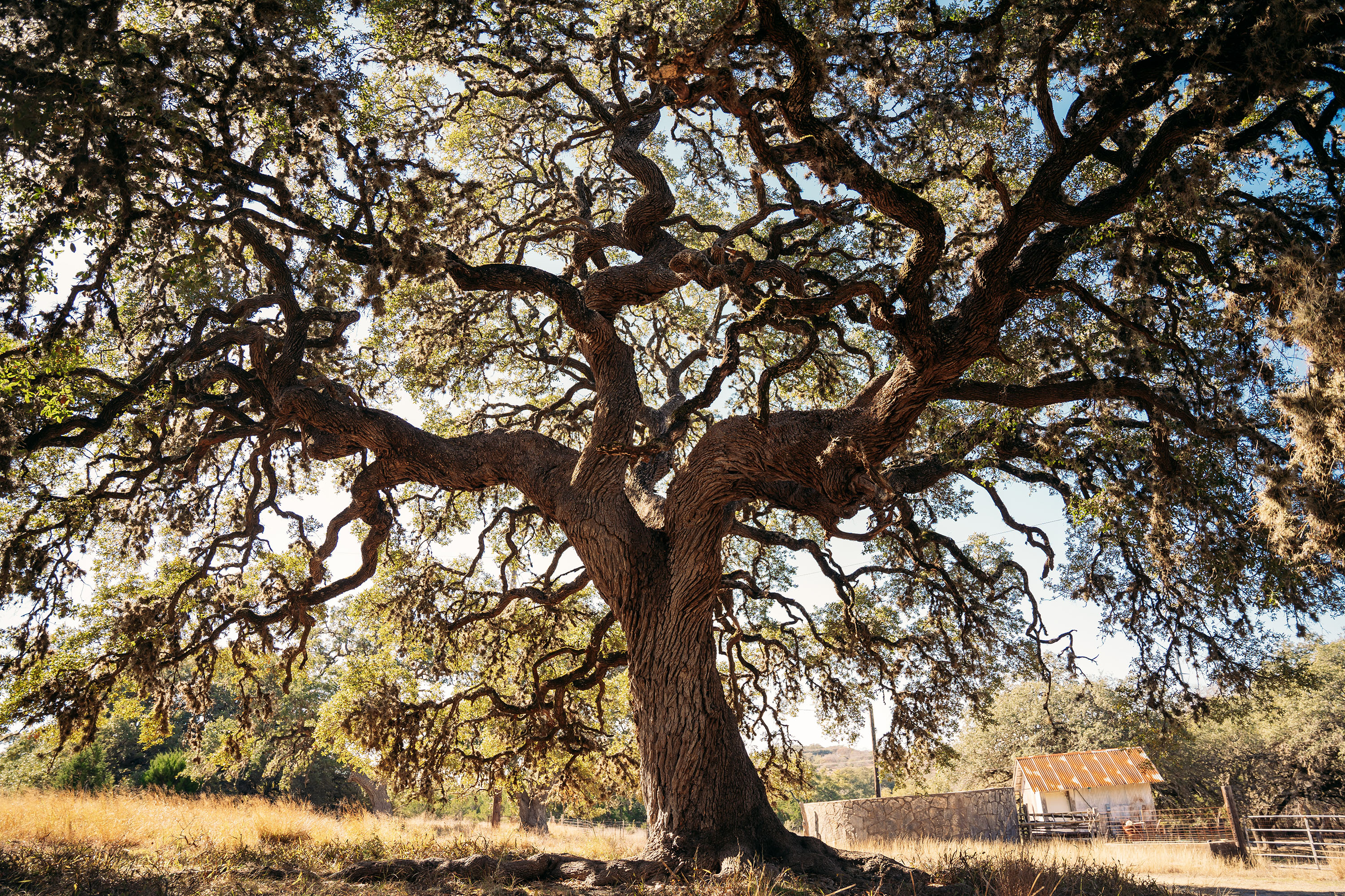 0000 Toutant-beauregard San Antonio TX 78255