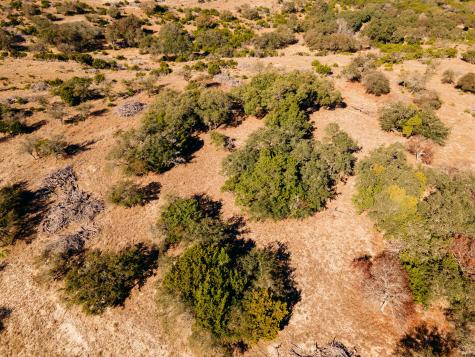 0000 Toutant-beauregard San Antonio TX 78255