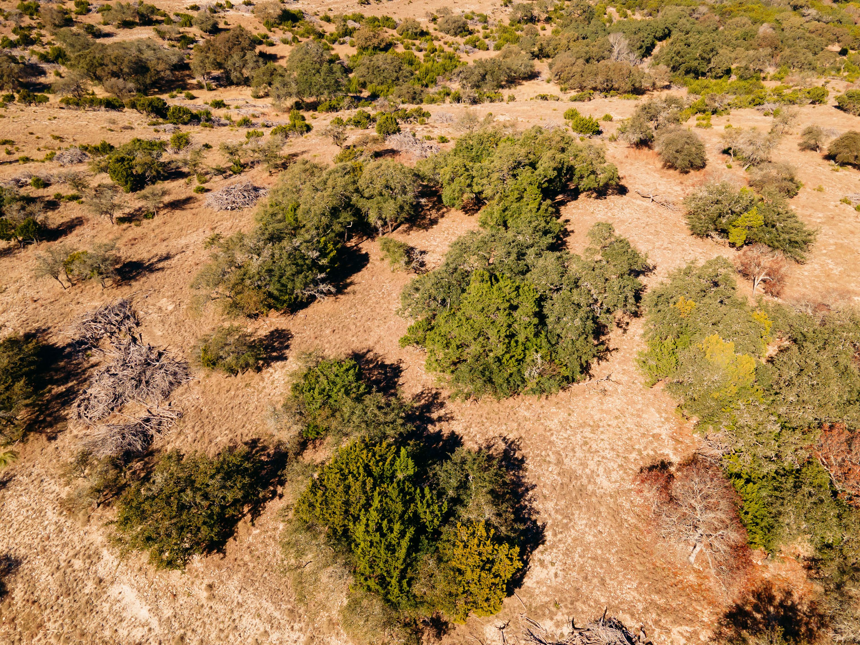 0000 Toutant-beauregard San Antonio TX 78255