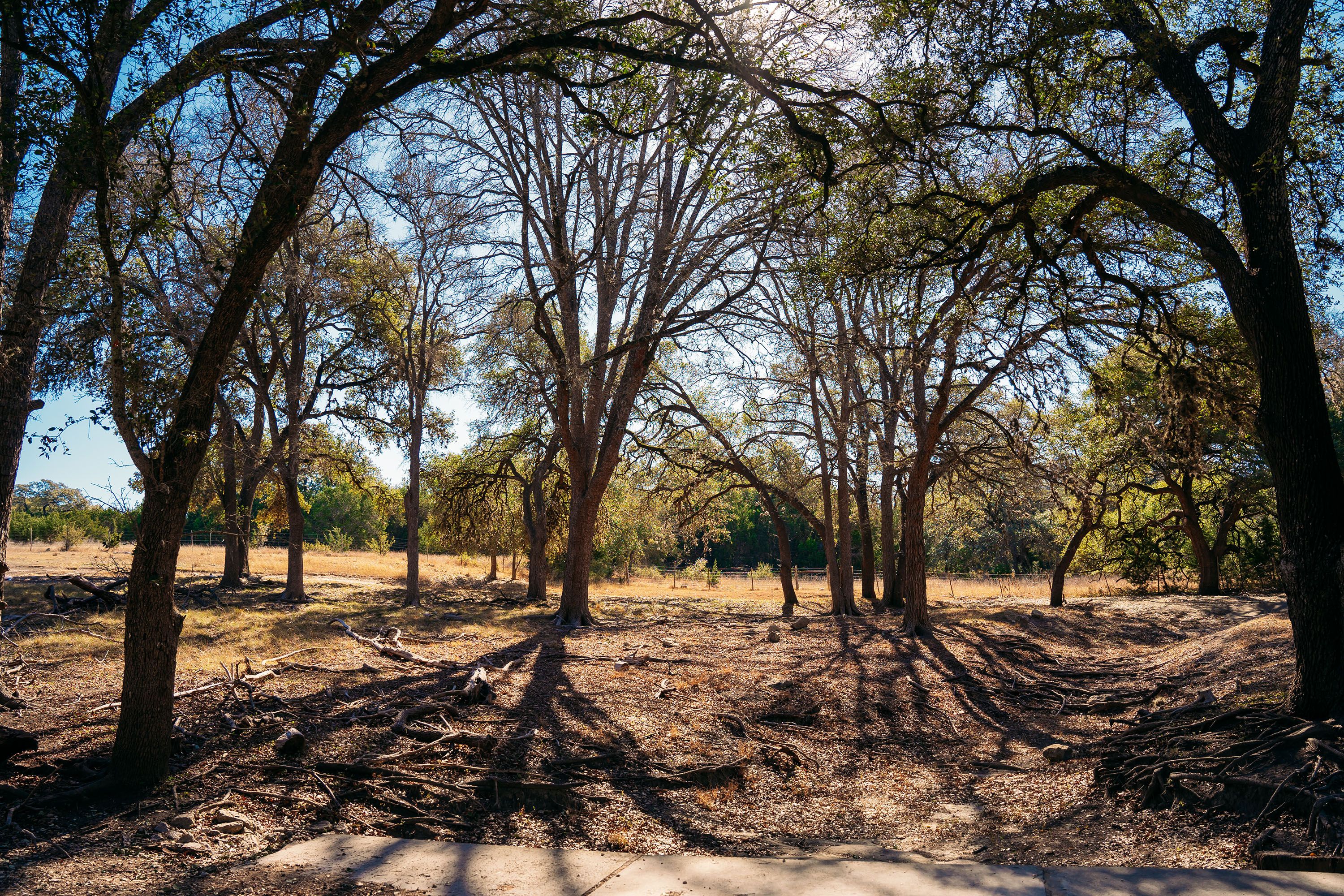 0000 Toutant-beauregard San Antonio TX 78255