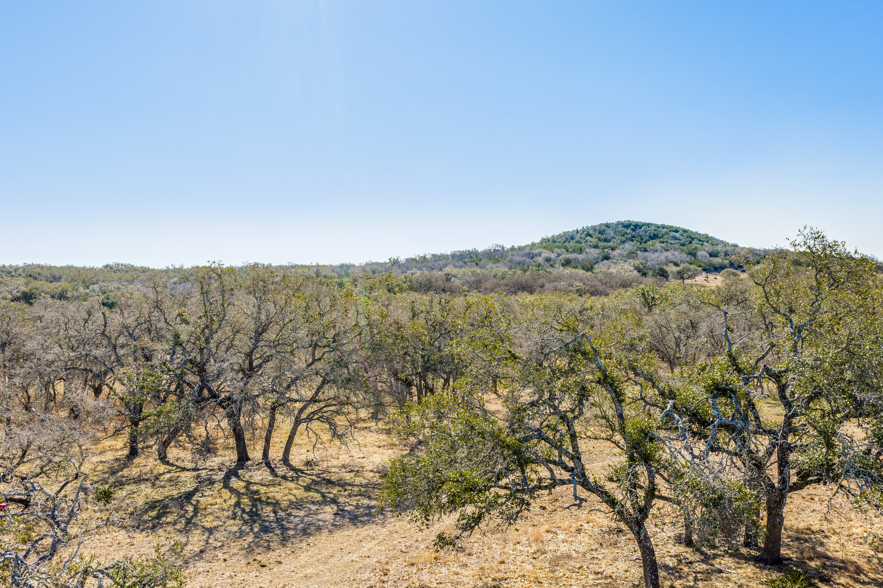 10901 Ranch Road 2721 20 Acres Fredericksburg TX 78624