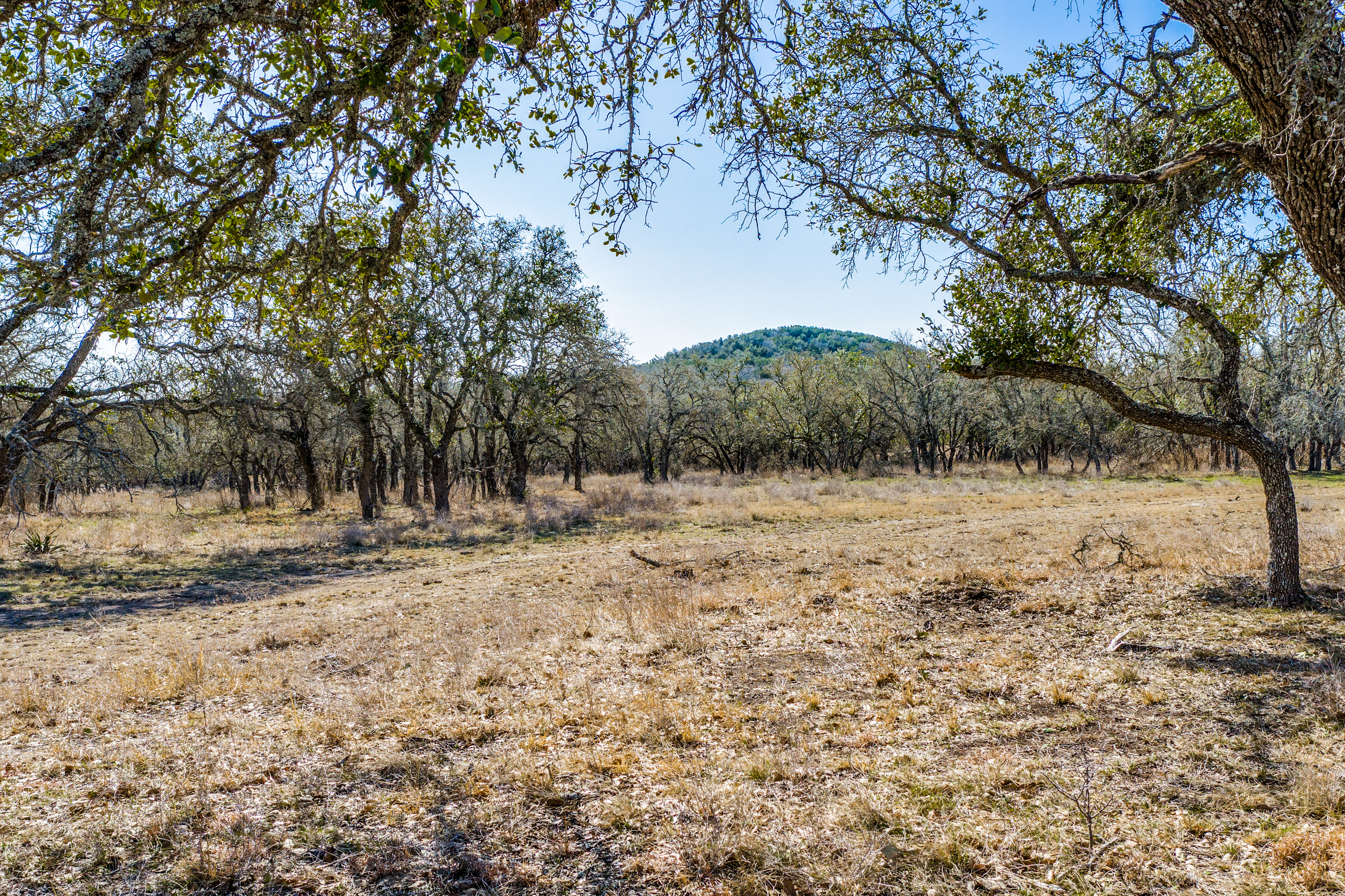 10901 Ranch Road 2721 20 Acres Fredericksburg TX 78624
