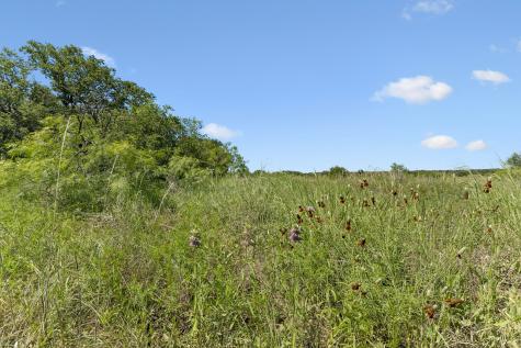 1619 Farm To Market Road 1028 Rochelle TX 76872