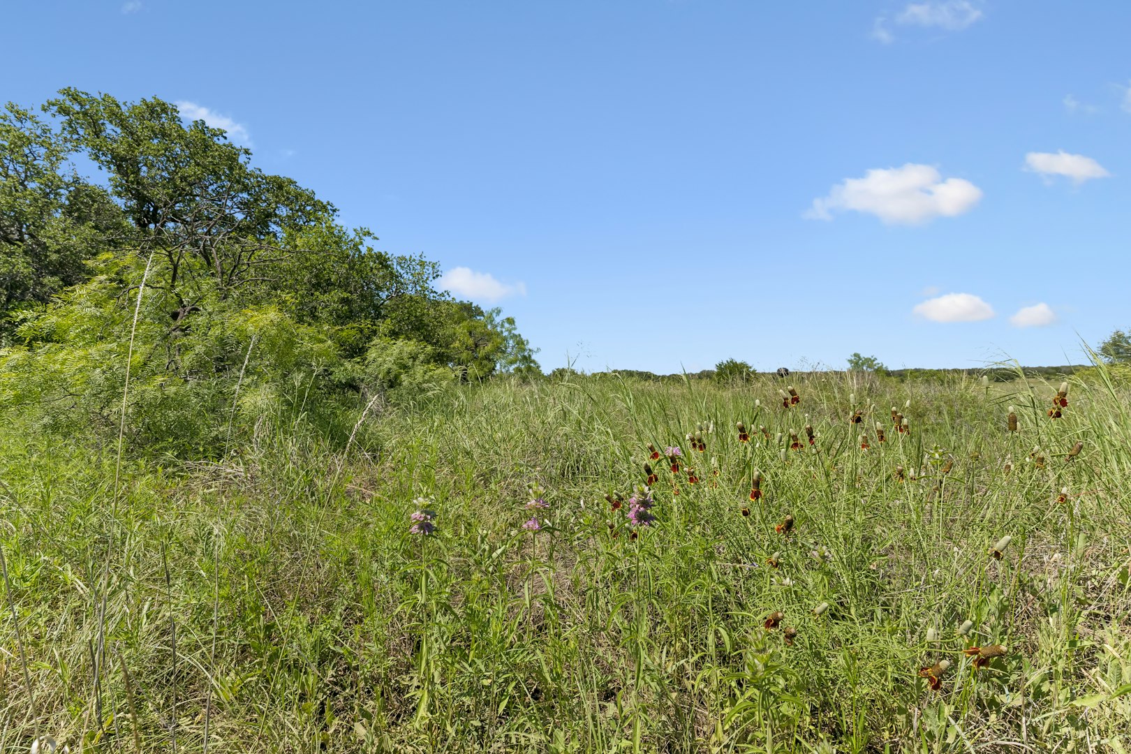 1619 Farm To Market Road 1028 Rochelle TX 76872