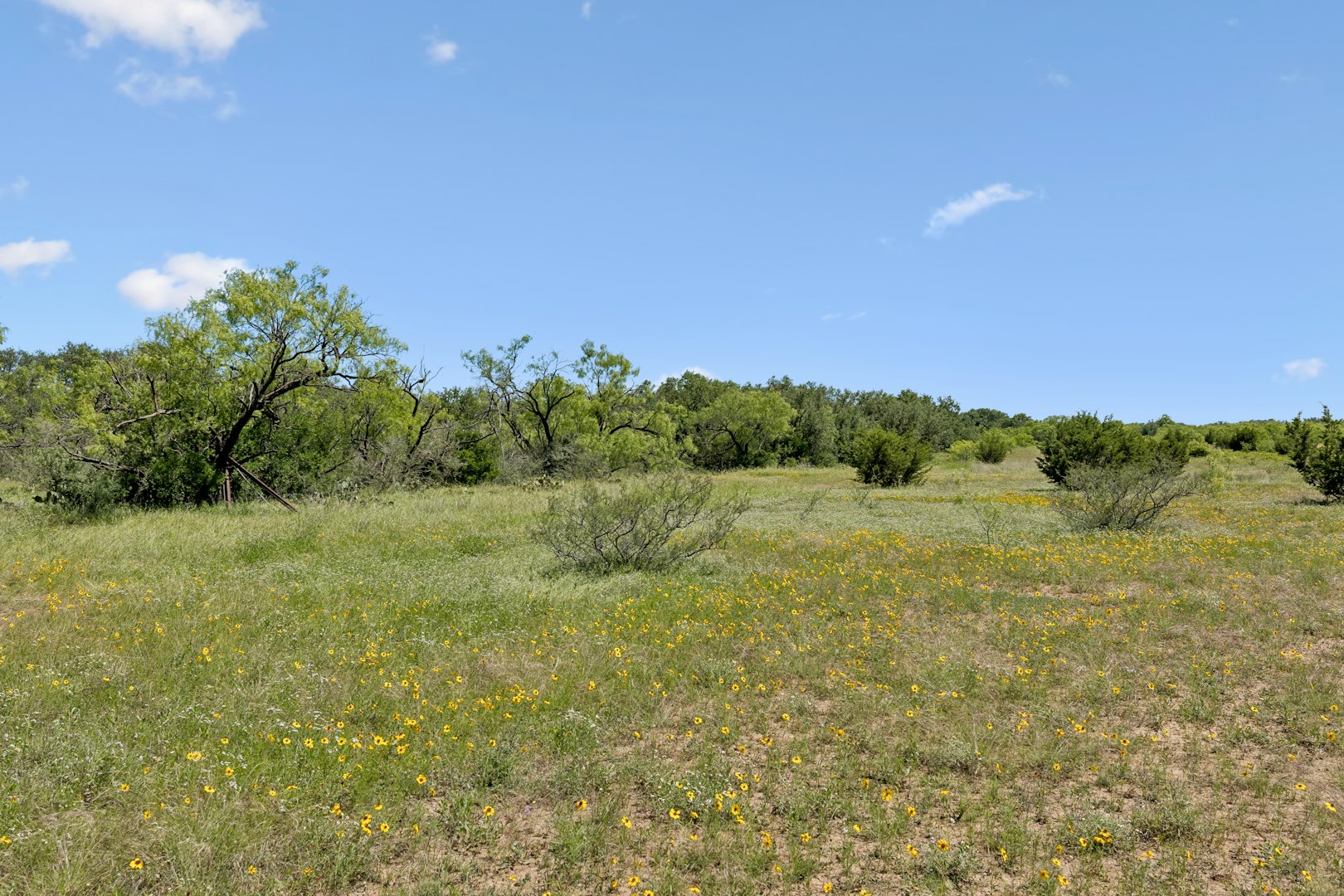 1619 Farm To Market Road 1028 Rochelle TX 76872