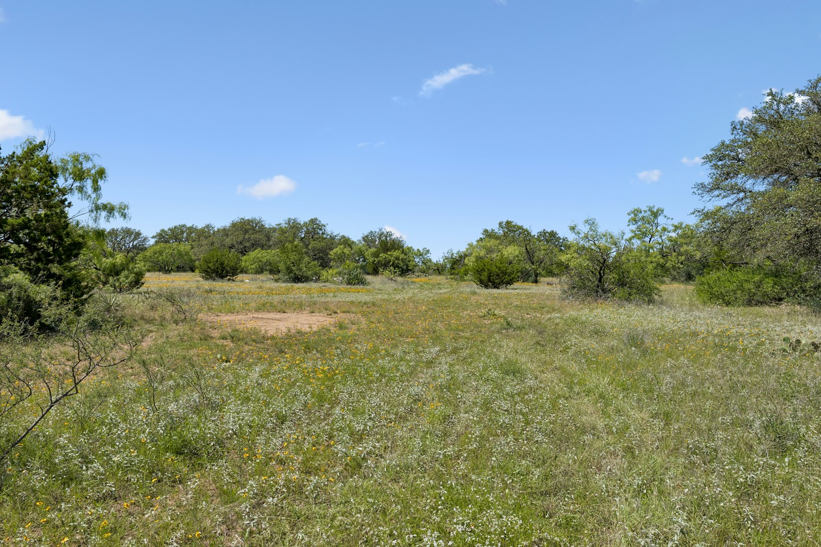 1619 Farm To Market Road 1028 Rochelle TX 76872