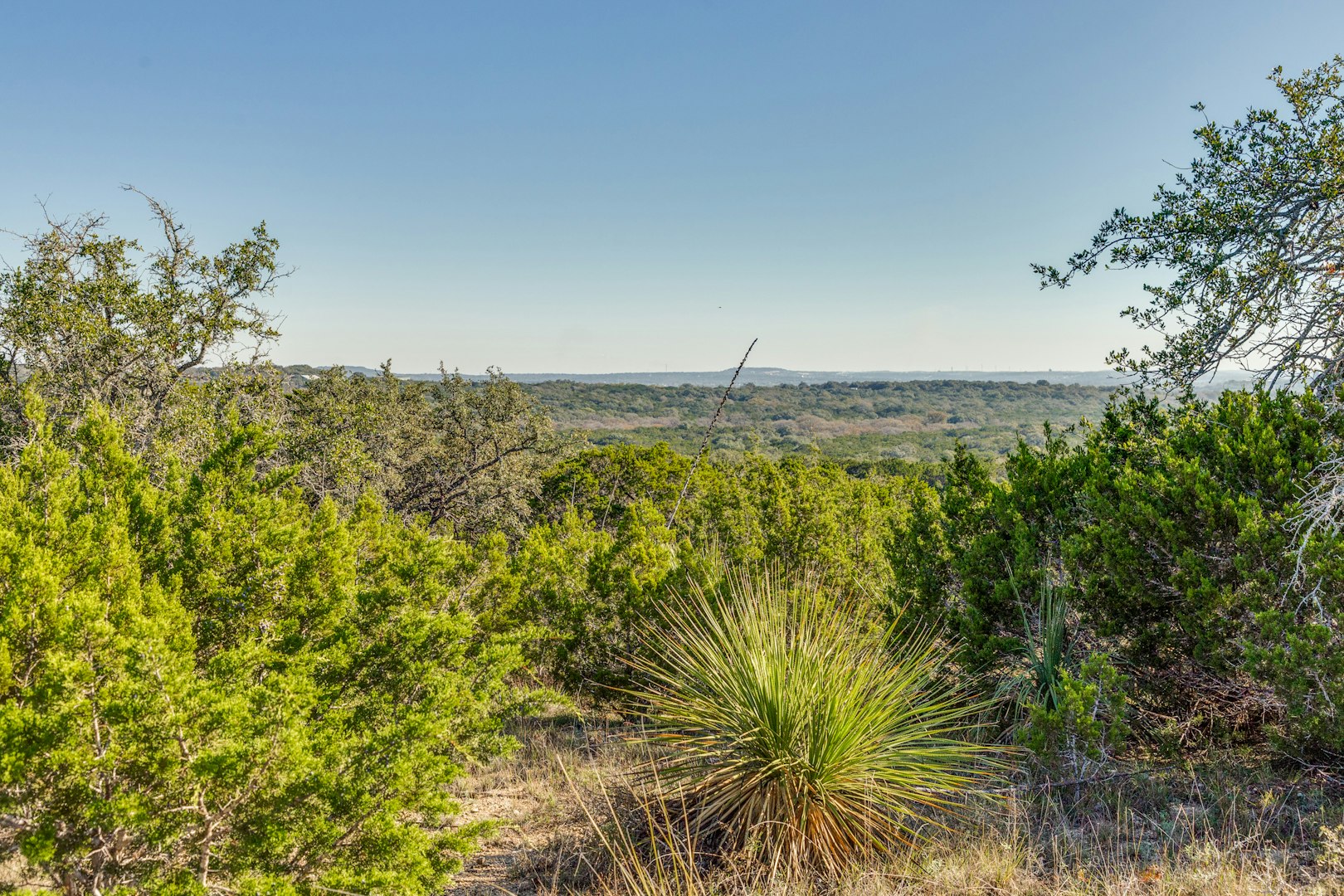 10205 Boerne TX 78006