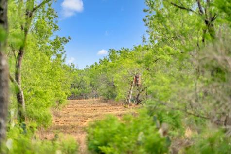2645 Matthews Ranch Road Dilley TX 78017