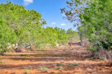 2645 Matthews Ranch Road Dilley TX 78017