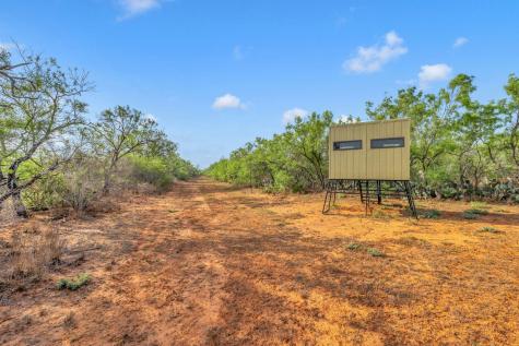 2645 Matthews Ranch Road Dilley TX 78017