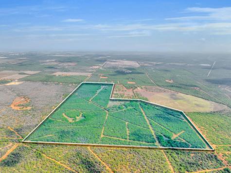 2645 Matthews Ranch Road Dilley TX 78017