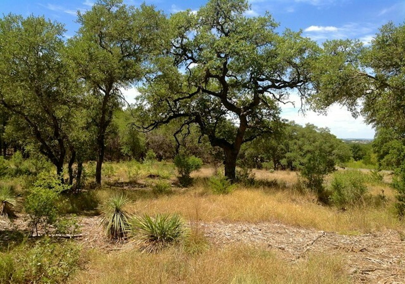 0000 Lot 68 Lariat Trace Bandera TX 78003