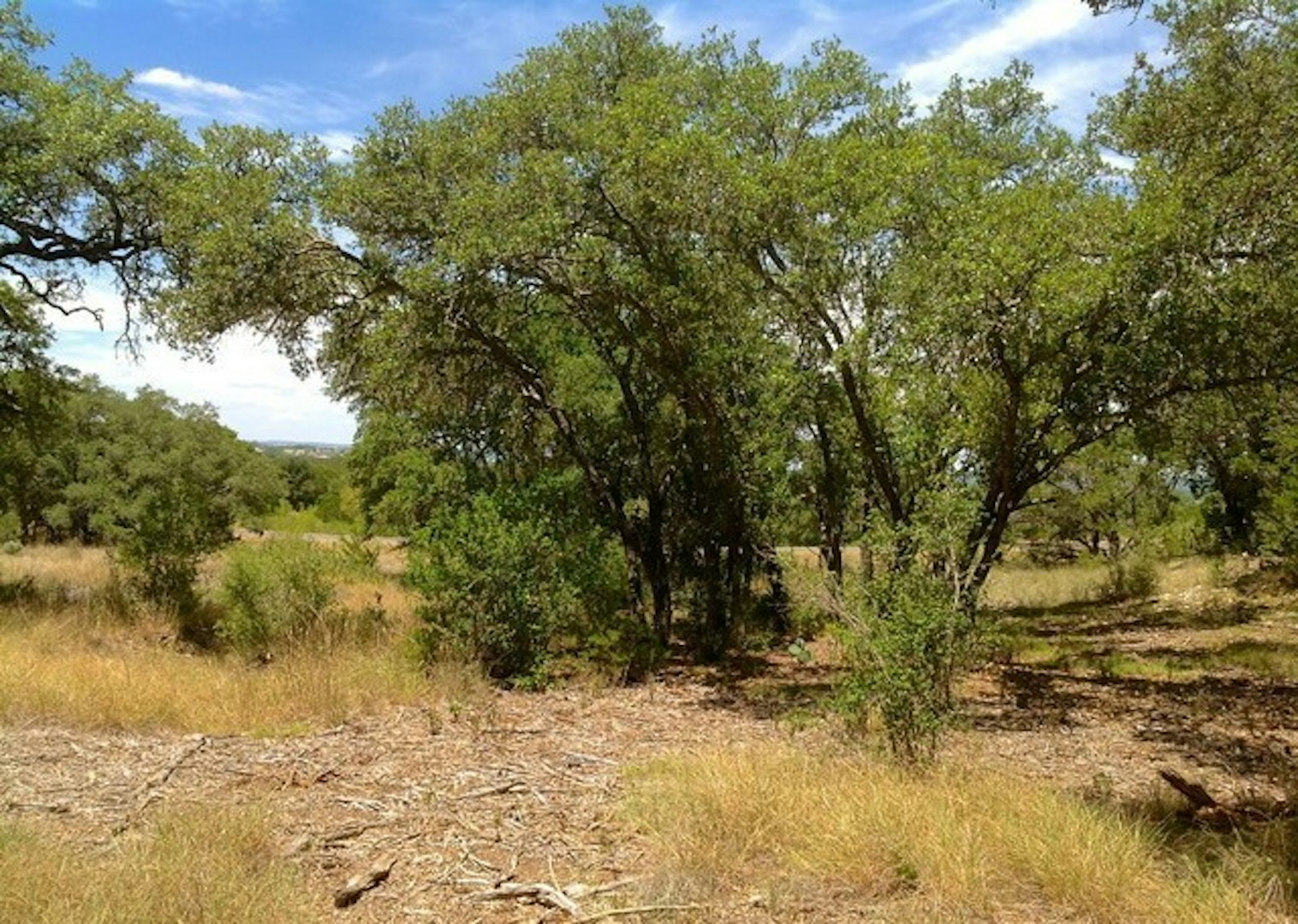 0000 Lot 68 Lariat Trace Bandera TX 78003