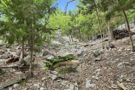 1051 N Cattlemans Crossing Drive Kerrville TX 78028