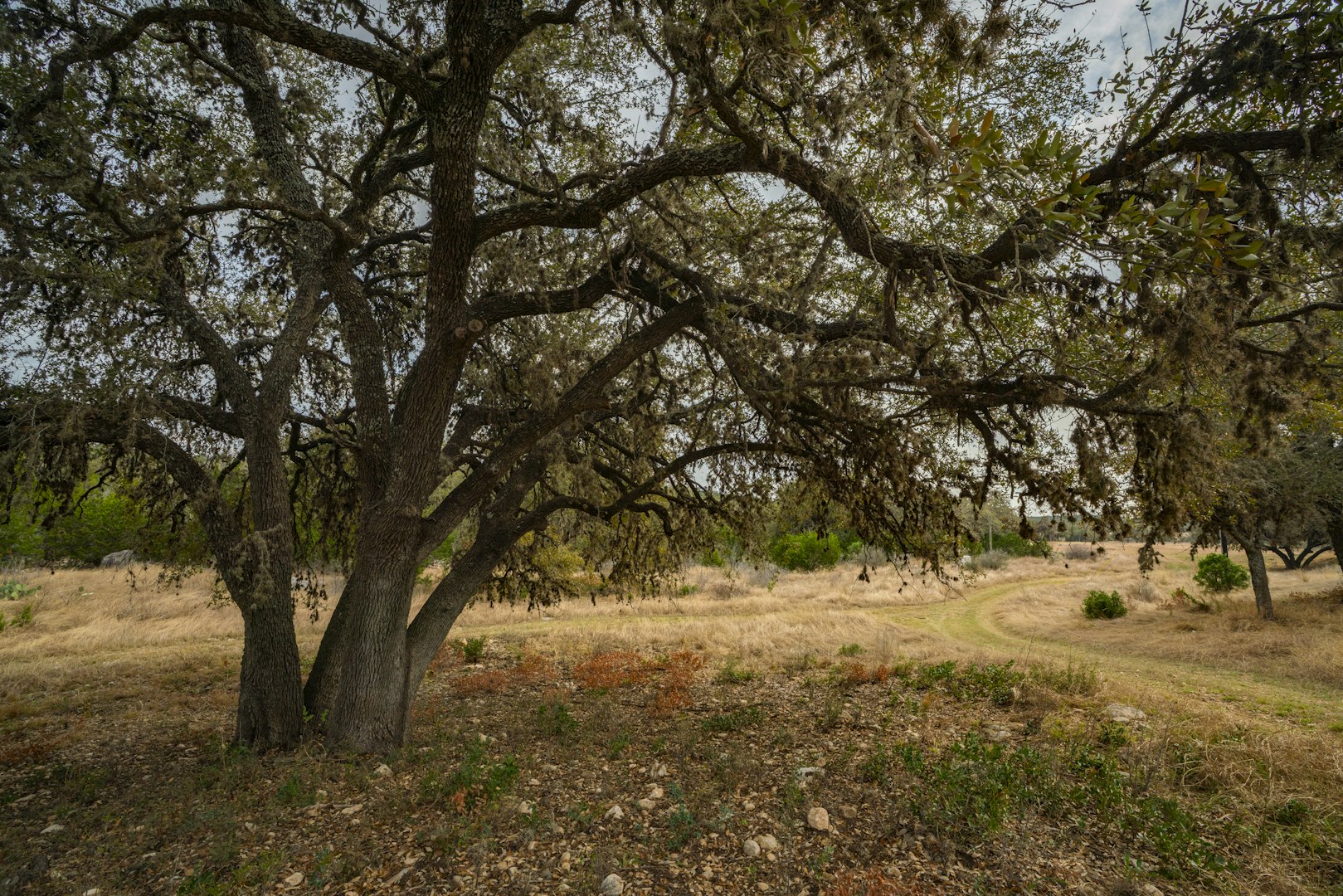 0000 Tbd Cedar Creek Road Brackettville TX 78832