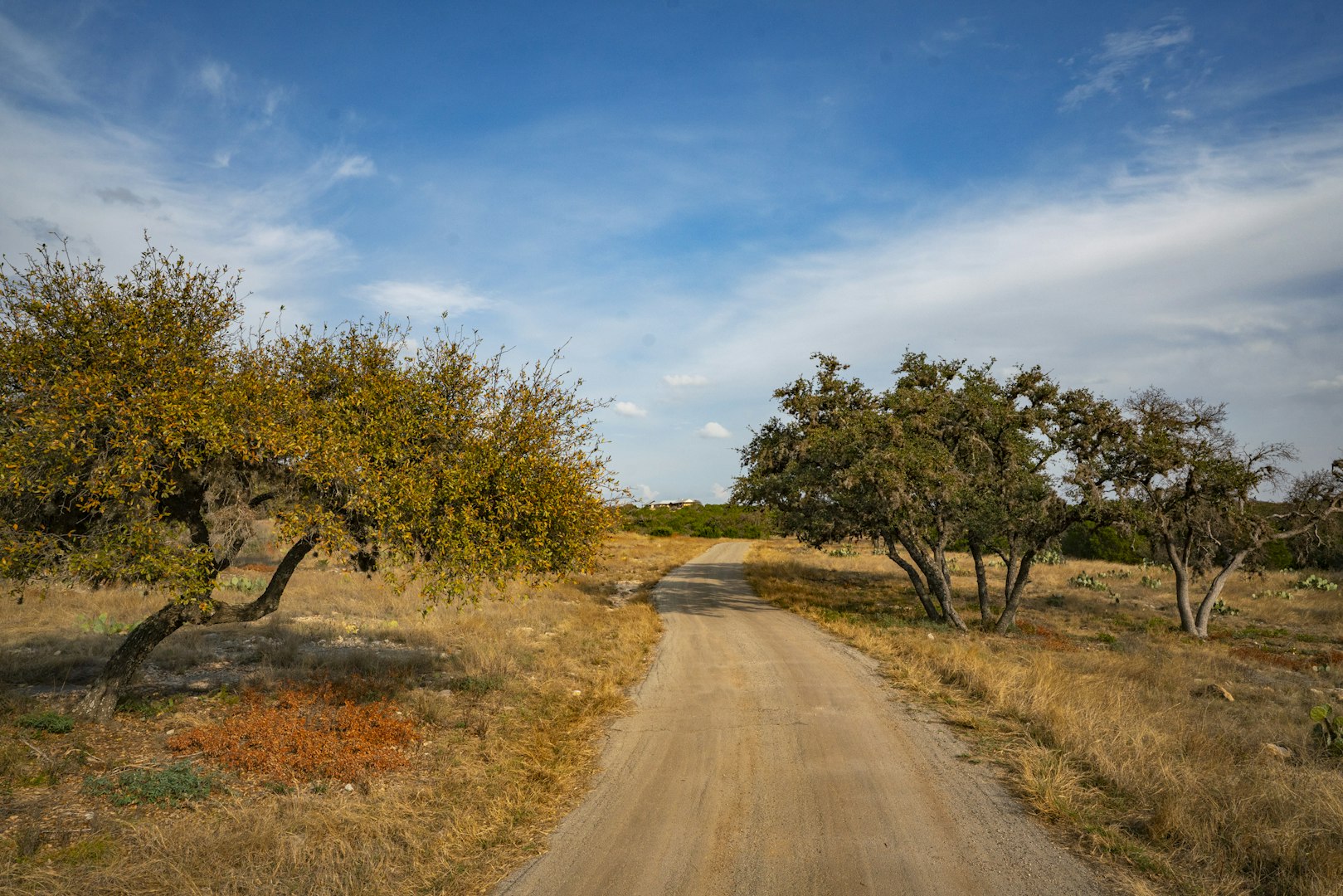 0000 Tbd Cedar Creek Road Brackettville TX 78832