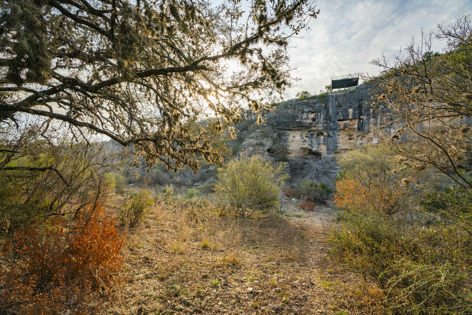 0000 Tbd Cedar Creek Road Brackettville TX 78832