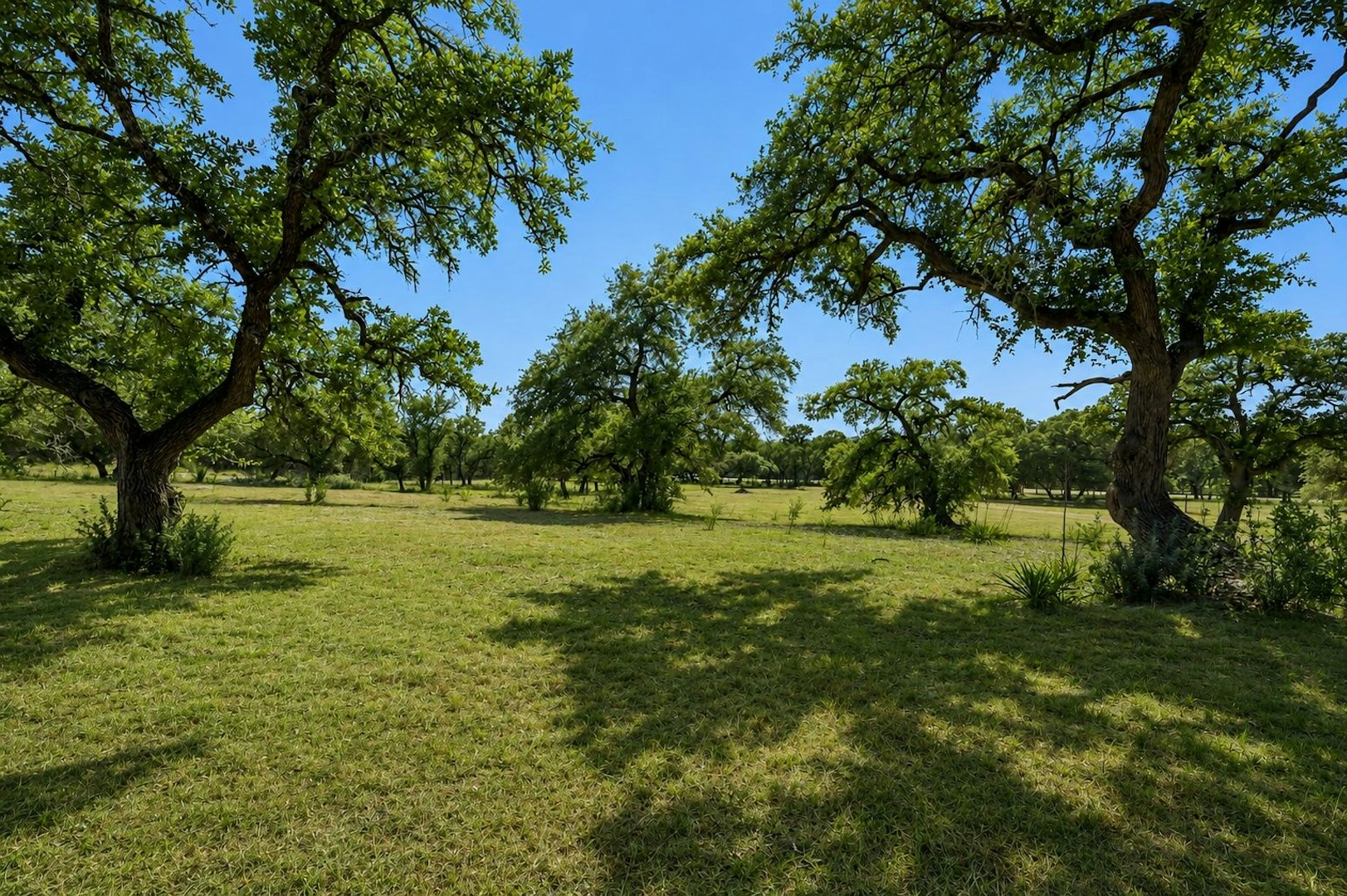 271 Hidden Oaks Drive Bulverde TX 78163
