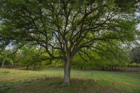 0000 Ranch To Market Road 473 Comfort TX 78013