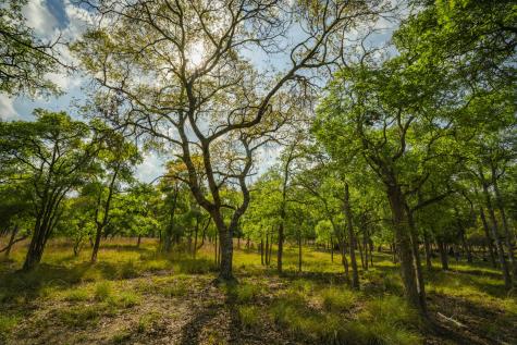 0000 Ranch To Market Road 473 Comfort TX 78013