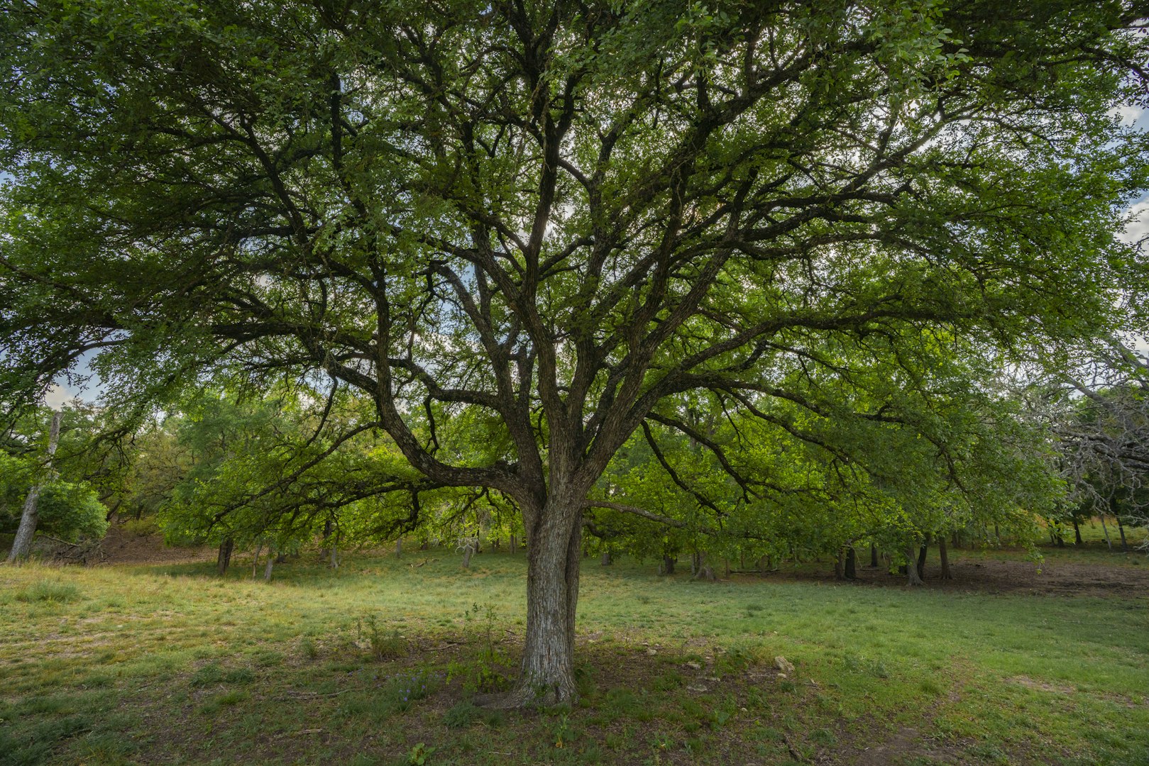 0000 Ranch To Market Road 473 Comfort TX 78013