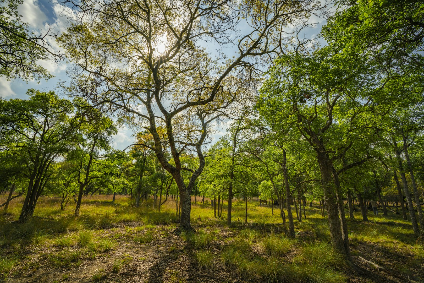 0000 Ranch To Market Road 473 Comfort TX 78013