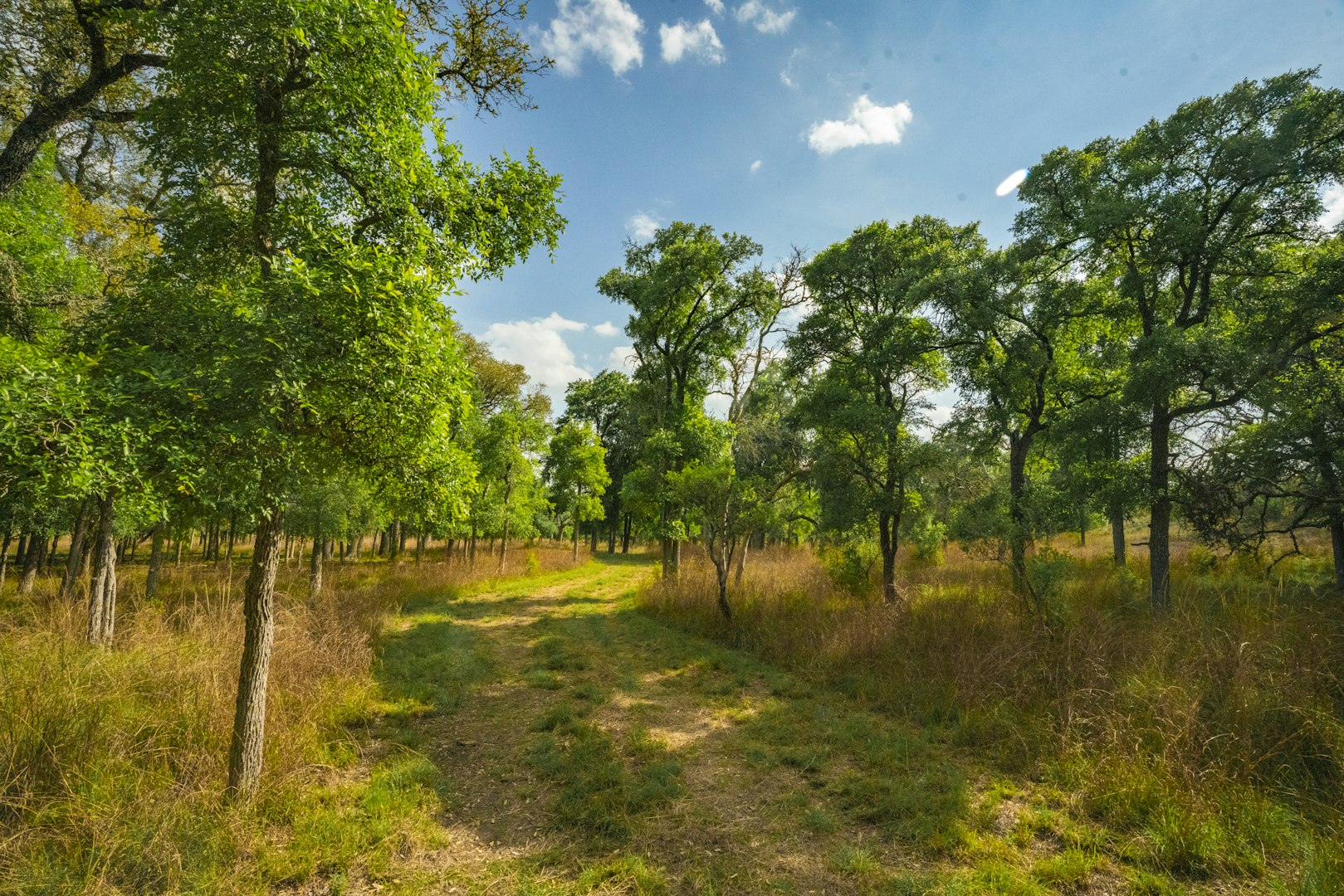 0000 Ranch To Market Road 473 Comfort TX 78013