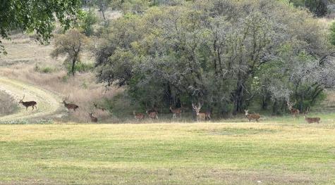 0000 Ranch To Market Road 473 Comfort TX 78013