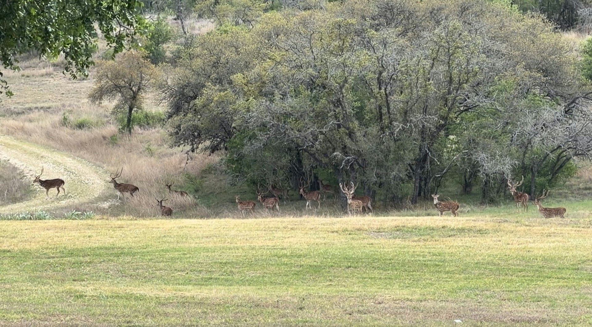 0000 Ranch To Market Road 473 Comfort TX 78013