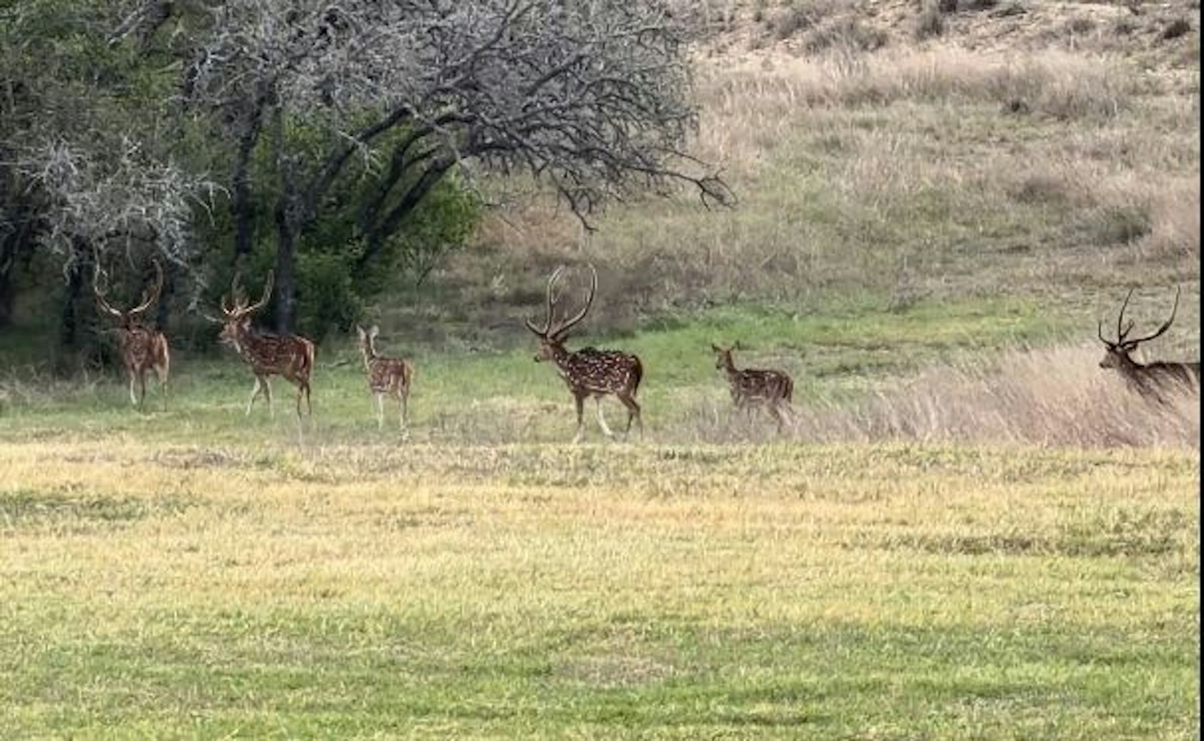 0000 Ranch To Market Road 473 Comfort TX 78013