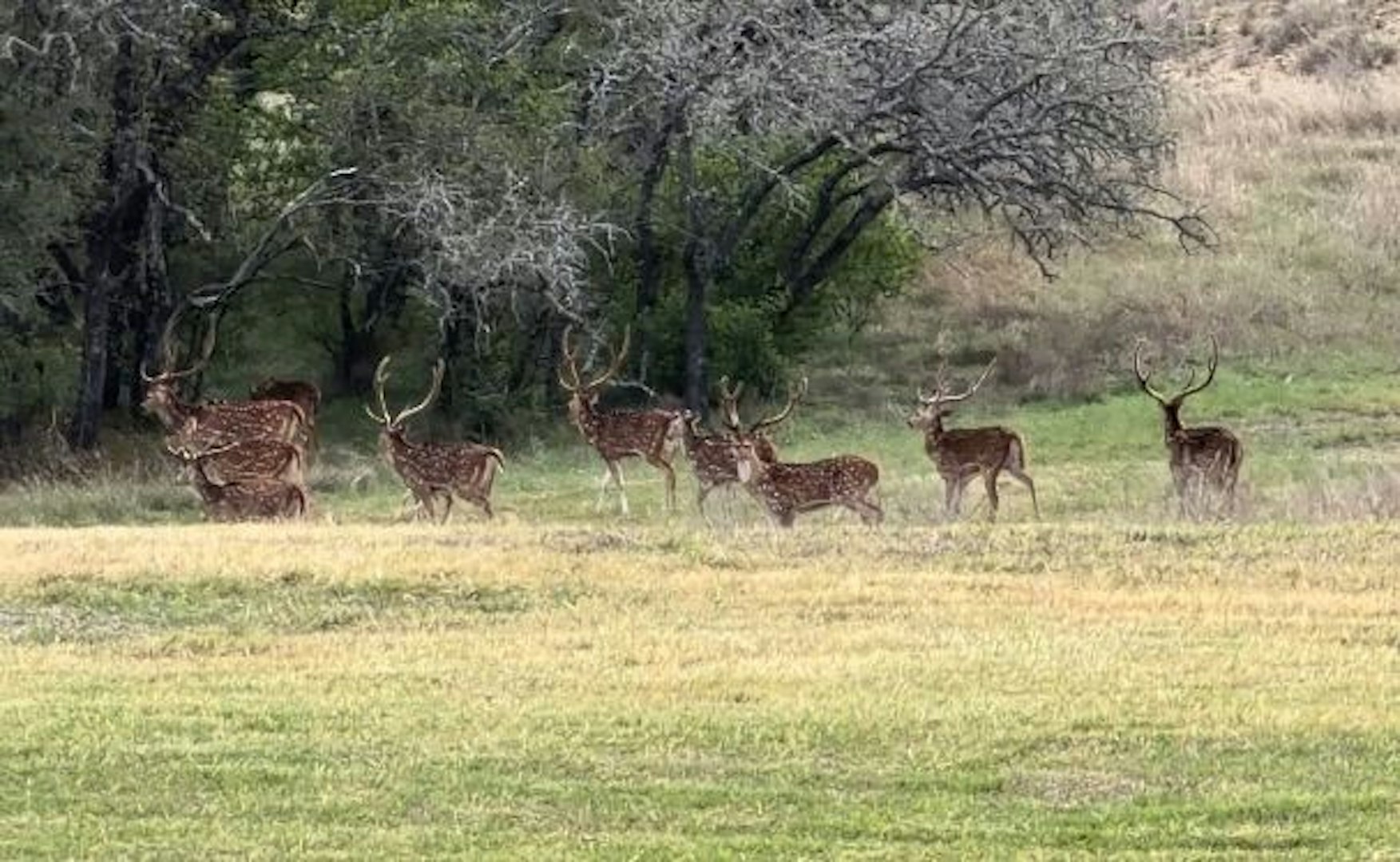 0000 Ranch To Market Road 473 Comfort TX 78013
