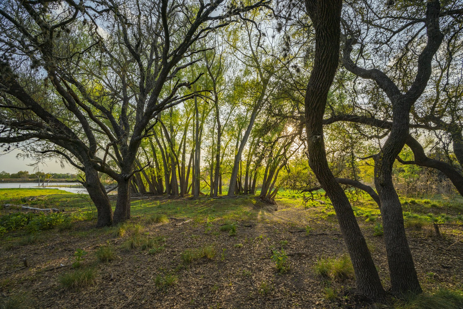 0000 Ranch To Market Road 473 Comfort TX 78013