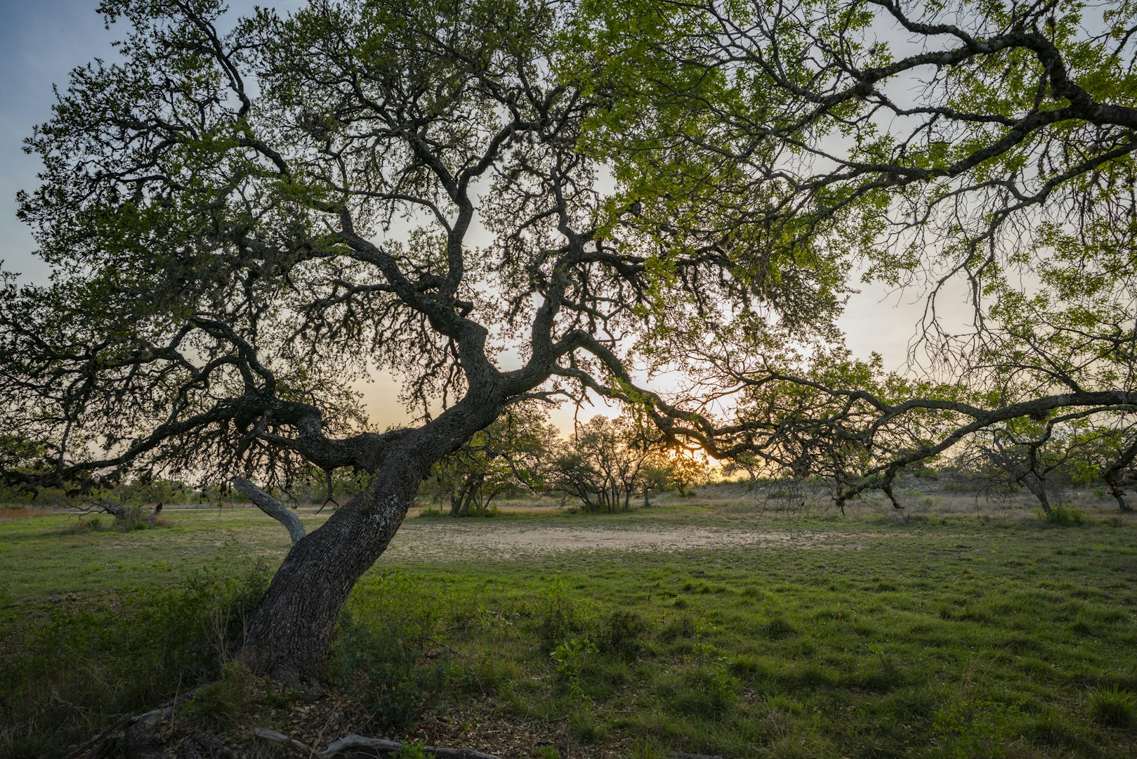 0000 Ranch To Market Road 473 Comfort TX 78013