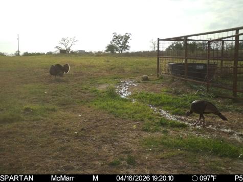 0000 Ranch To Market Road 473 Comfort TX 78013
