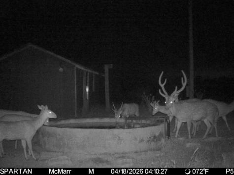 0000 Ranch To Market Road 473 Comfort TX 78013