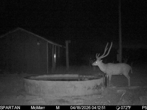 0000 Ranch To Market Road 473 Comfort TX 78013